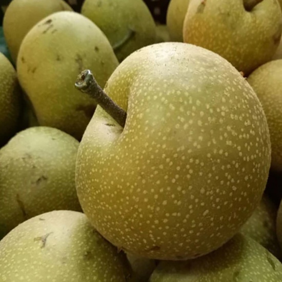 Lê đường nông trại an toàn, giòn ngọt nhiều nước